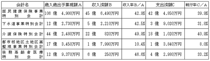 特別会計予算の執行状況