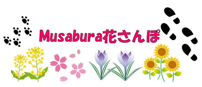 Musabura花さんぽ