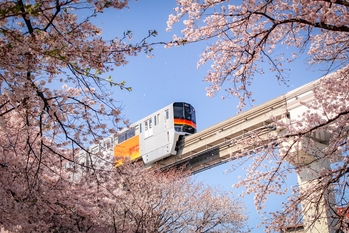 モバイル写真・モノレール部門