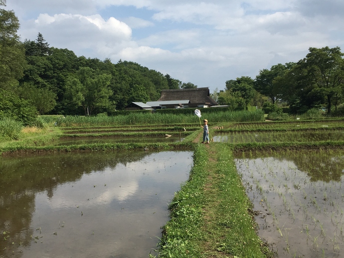 モバイル写真・モノレール部門