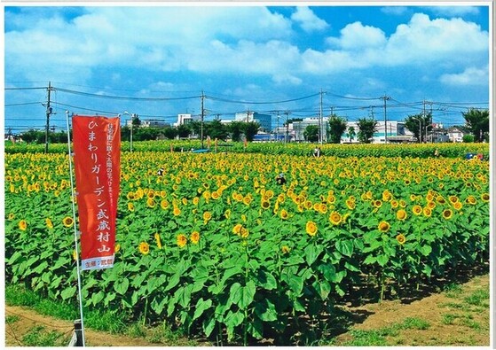 一般写真　市内風景部門