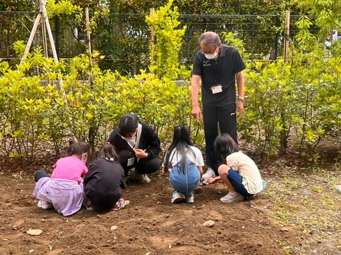 子どもたちとひまわりの種をまいている様子