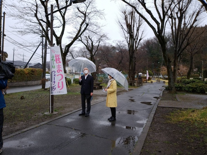 野山北公園自転車道桜並木での撮影