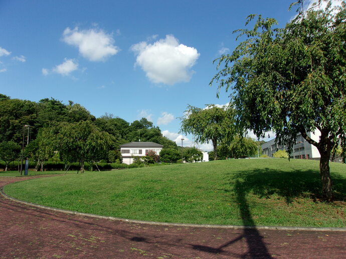 総合運動公園の写真